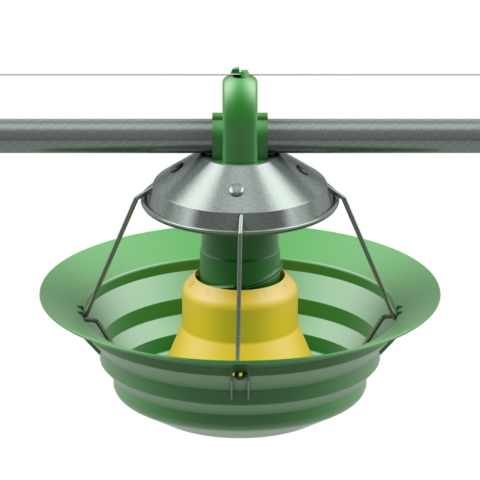 Tacchini